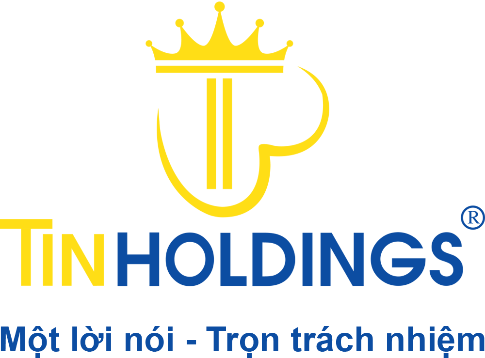 logo TIN Holdings
