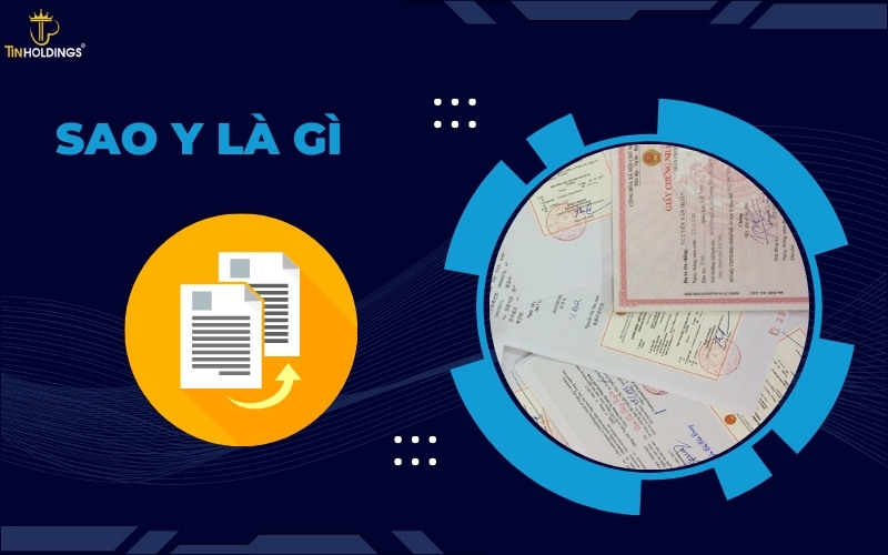 Sao y là gì