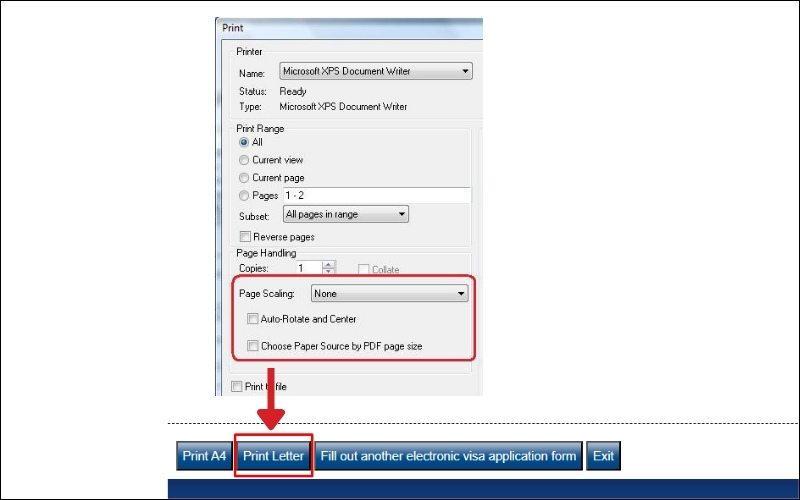 In tờ khai visa Nga
