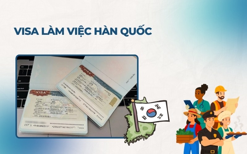 Các loại visa Hàn Quốc làm việc