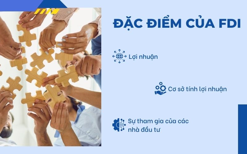 Đặc điểm của FDI