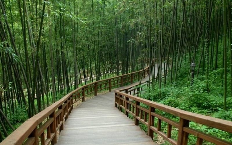 Vườn trúc Juknokwon