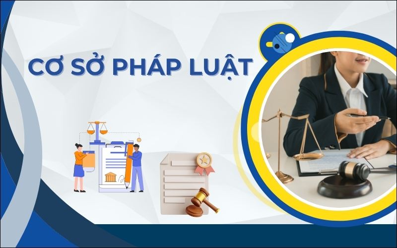 Cơ sở pháp lý về thành lập công ty tài chính