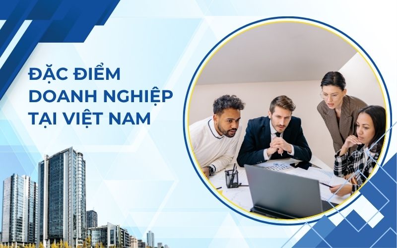 Đặc điểm doanh nghiệp tại Việt Nam
