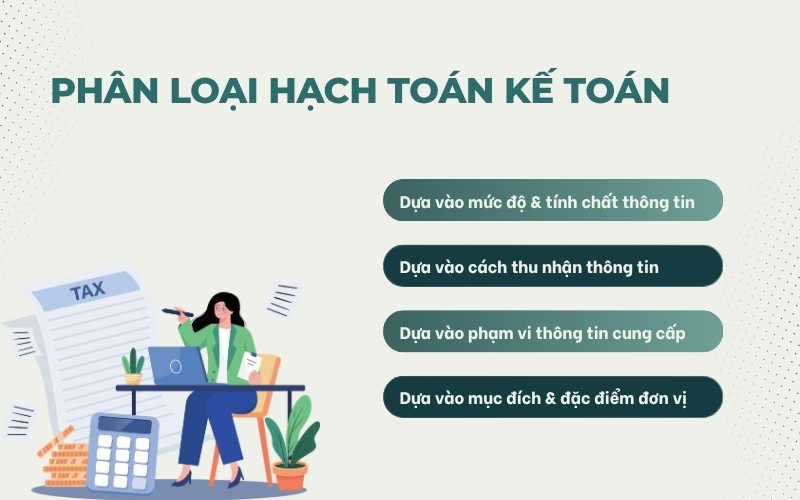 Phân loại hạch toán là gì
