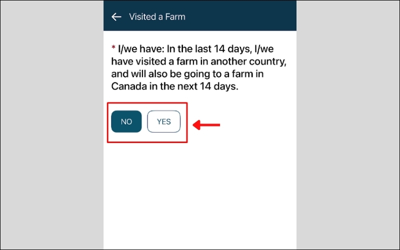 Trả lời yes/no