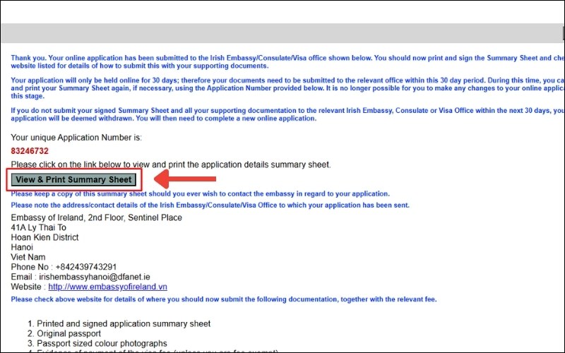 In tờ khai visa Ireland