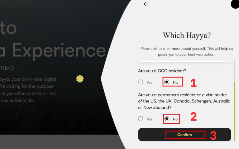 Chọn No nếu không thuộc Schengen