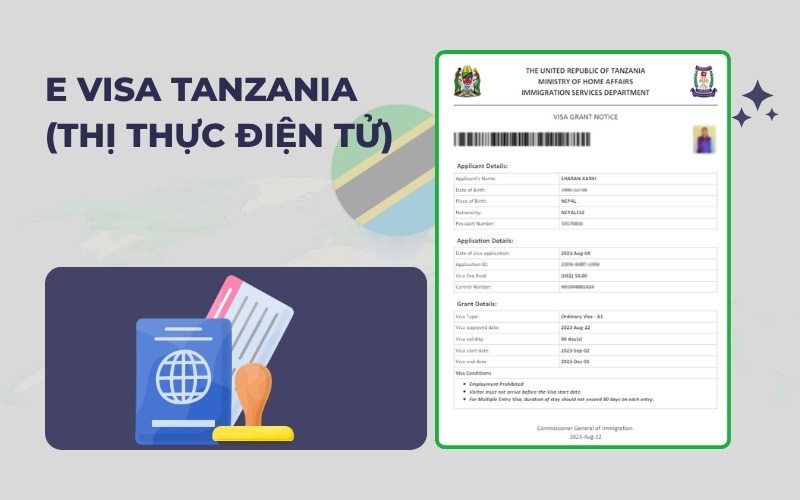 E visa Tanzania
