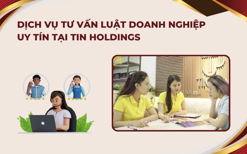 Dịch vụ tư vấn Luật Doanh nghiệp tại TIN Holdings