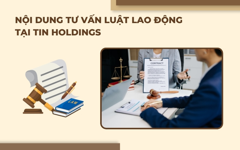 Nội dung tư vấn Luật Lao động tại TIN Holdings