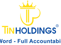 Logo TIN Holdings